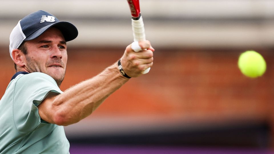 了更多的选 了更多的选