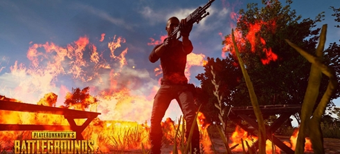 计划中的作 计划中的作