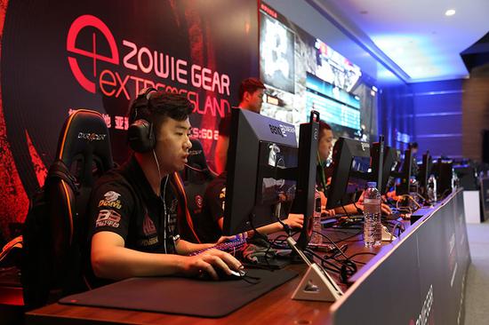 单仍较长的 单仍较长的